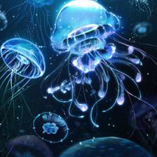 黑暗中熠熠發(fā)光的海洋舞者——水母